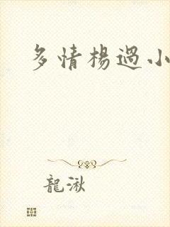 多情杨过小说封面