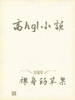 高hgl小说