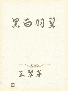 黑白羽翼