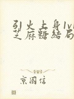 引火上身1v1芝麻糖结局封面