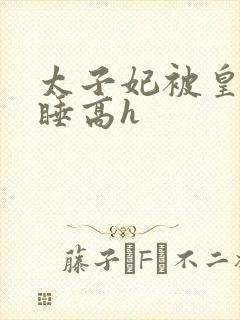 太子妃被皇上强睡高h封面