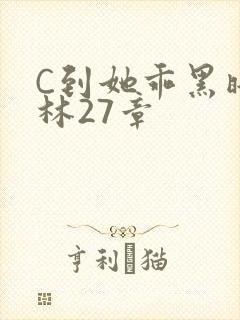 C到她乖黑暗森林27章