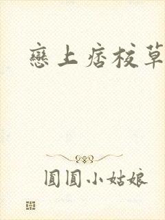 恋上痞校草封面