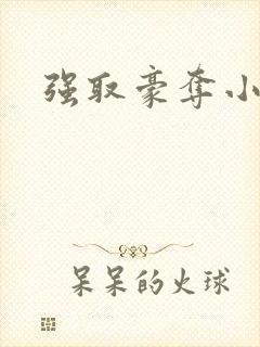 强取豪夺小说封面