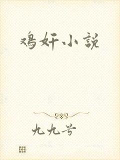 鸡奸小说封面