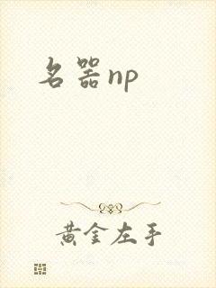 名器np