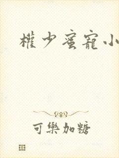 权少蜜宠小娇妻