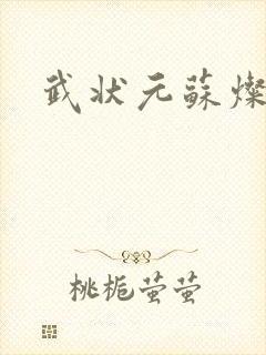 武状元苏灿