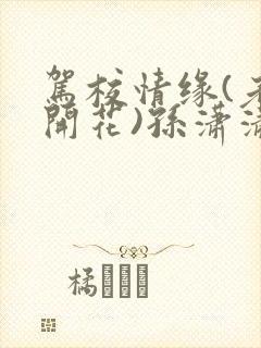 书籍封面