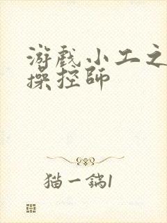 游戏小工之元素操控师封面