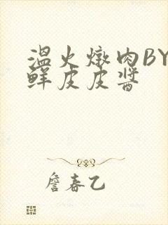 温火炖肉BY海鲜皮皮酱