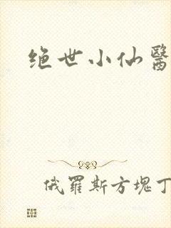 绝世小仙医小说