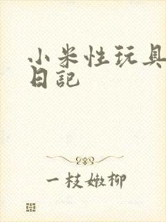 小米性玩具羞辱日记