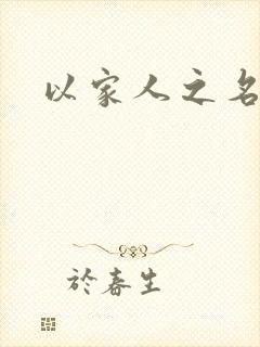 以家人之名小说