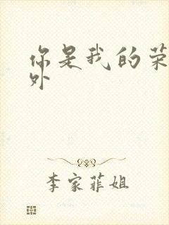 你是我的荣耀番外