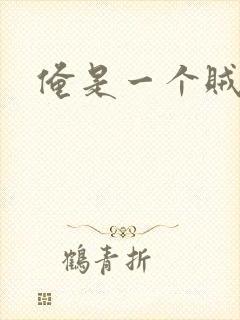 俺是一个贼