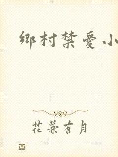 乡村禁爱小说