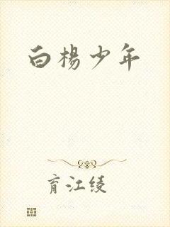 白杨少年封面