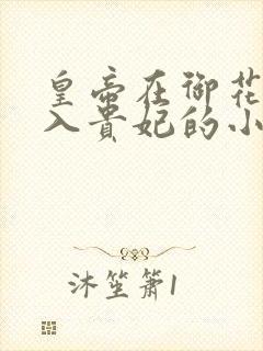 皇帝在御花园进入贵妃的小说