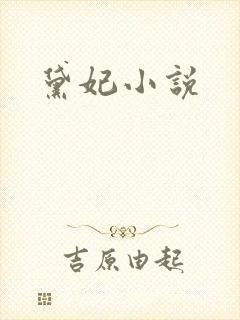 黛妃小说