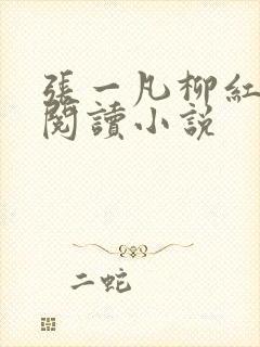 张一凡柳红免费阅读小说