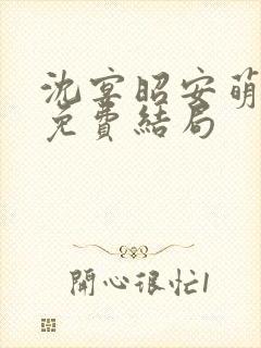 沈宴昭安萌全文免费结局封面