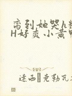 脔到她哭h粗话H好爽小黄鸭视频