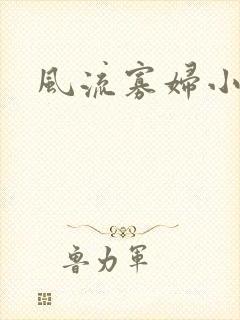 风流寡妇小说