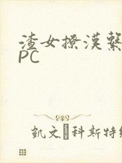 渣女撩汉系统NPC