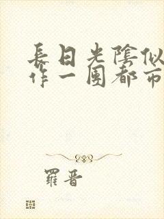 长日光阴似箭乱作一团都市言情封面