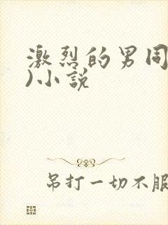 激烈的男同(h)小说