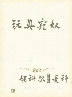 玩具宠奴封面