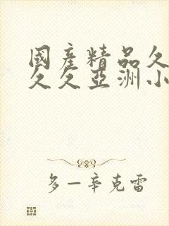 国产精品久久久久久亚洲小说