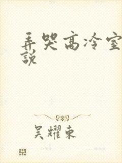 弄哭高冷室友小说封面