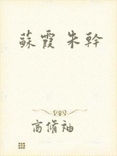 苏霞 朱干封面
