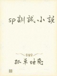 sp训诫小说