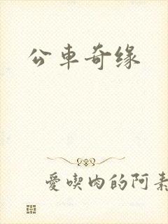 公车奇缘