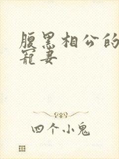 腹黑相公的庶女宠妻