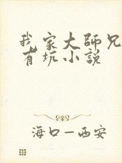 我家大师兄脑子有坑小说封面