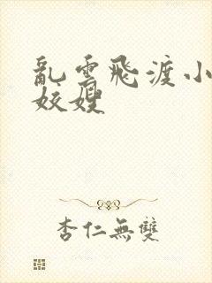 乱云飞渡小说之姣嫂