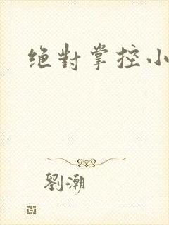 绝对掌控小说