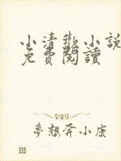 小清欢小说全文免费阅读