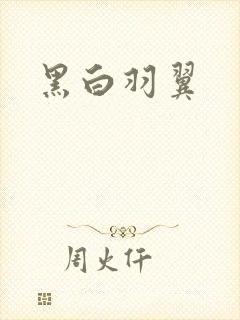 黑白羽翼