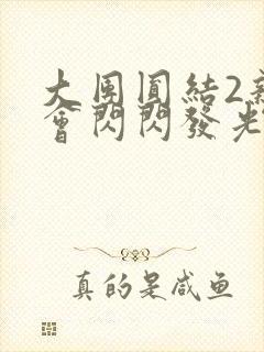 大团圆结2亲情会闪闪发光亲情会封面