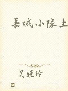 长城小队上中下封面