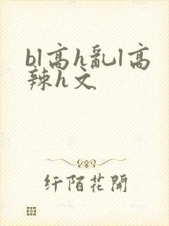 bl高h乱l高辣h文