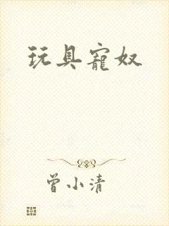 玩具宠奴