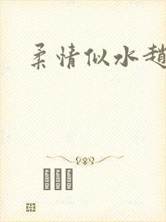 柔情似水赵雅儿封面