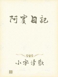 阿宾日记