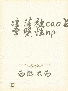 浪荡被cao日常双性np封面